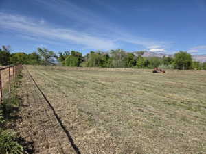 Expansive open field with a clear blue sky overhead