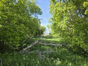 Expansive natural landscape featuring lush green foliage and mature trees