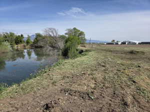 Natural pond with surrounding green vegetation