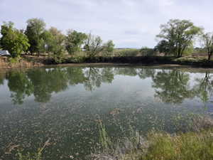 Expansive pond on the property, framed by a perimeter of mature trees and natural vegetation