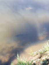 Image quality insufficient for description