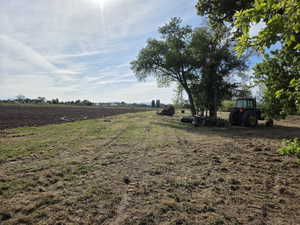 Expansive land parcel featuring a cultivated field, an open grassy area, and mature trees