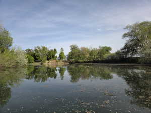 Water feature surrounded by mature trees and lush vegetation