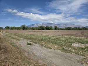 Expansive undeveloped land featuring a mix of bare earth and natural grasses, bordered by a line of mature trees