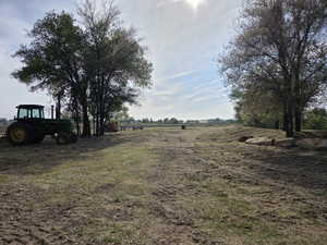 Expansive open land featuring established trees and a distant horizon