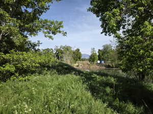 Expansive green space featuring varied foliage and a body of water
