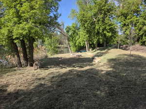 Expansive sloped yard featuring mature trees and partial water frontage