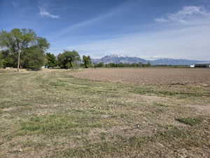 Expansive open land with a distinct agricultural field