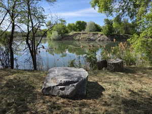 Waterfront landscaping featuring a large natural stone, two tree stump accents, and established trees alongside the water