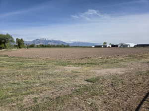 Expansive agricultural land featuring a tilled field and distant snow-capped mountains
