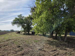 Expansive land parcel featuring mature trees, a cleared area with visible ground preparation, and distant mountain ranges