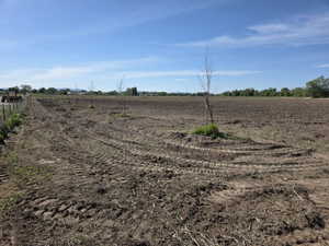 Expansive cleared land featuring visible tractor tracks