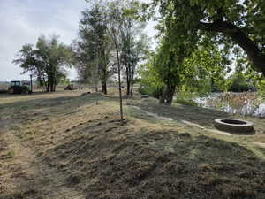 Grassed embankment extending to a body of water, featuring mature trees and a circular stone fire pit