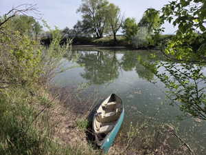 Waterfront setting with mature trees and dense vegetation