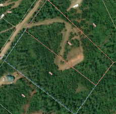 Lot 66 in Red Lot 67 in Blue