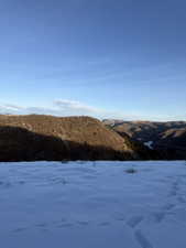 View from adjacent lot 66