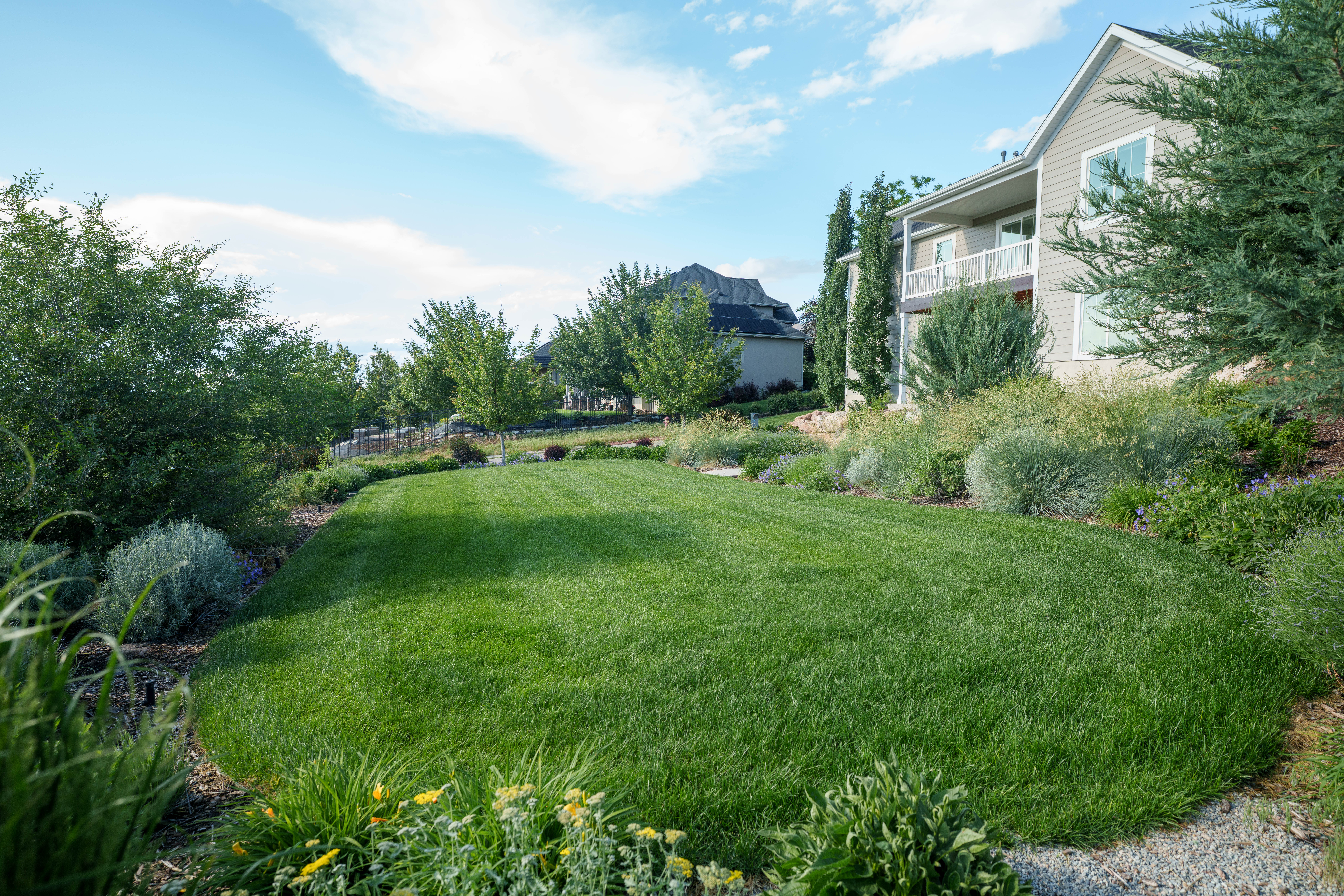 Expansive manicured lawn bordered by diverse shrubbery and mature trees