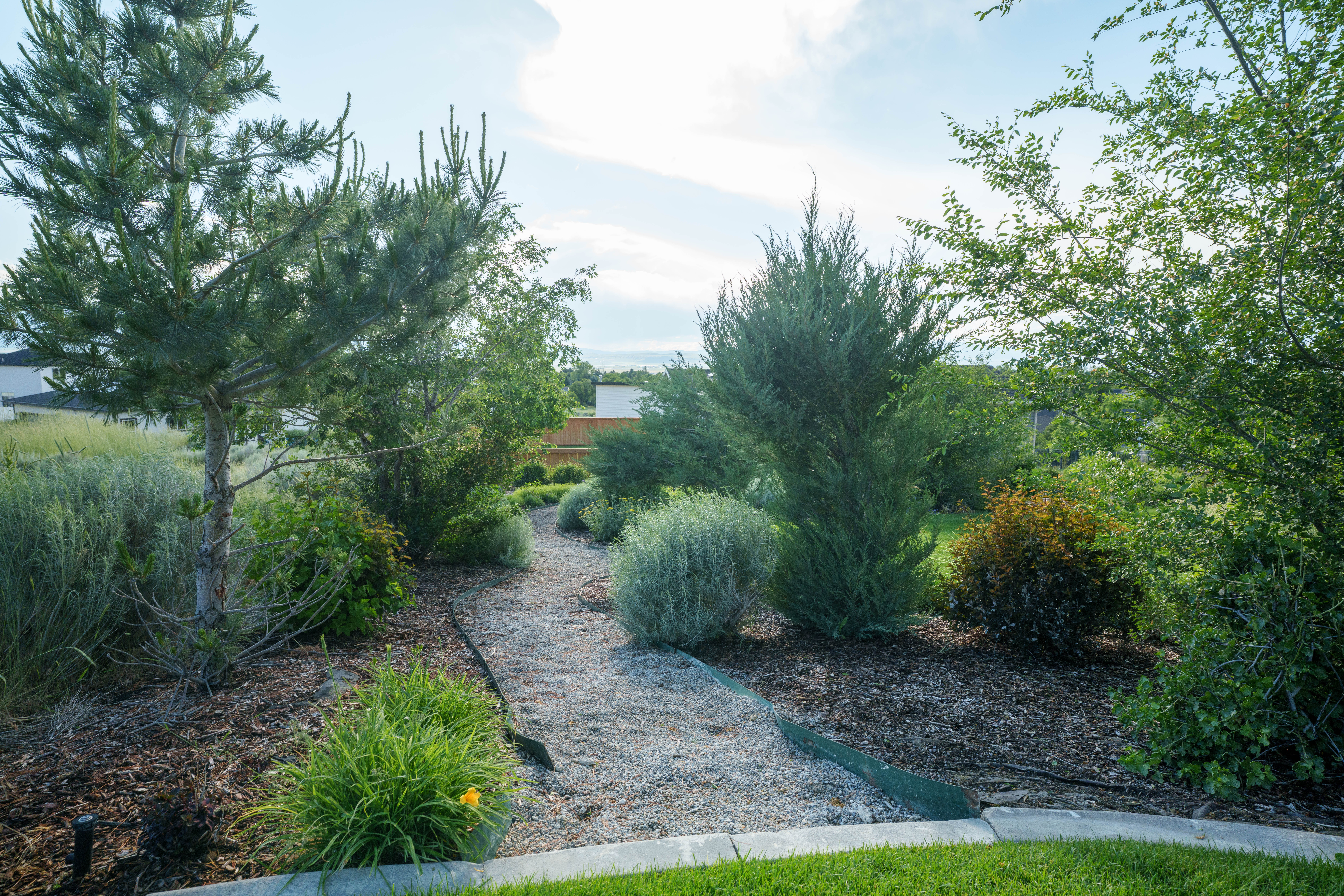 Landscaped backyard featuring a winding gravel path, diverse plantings, and established trees