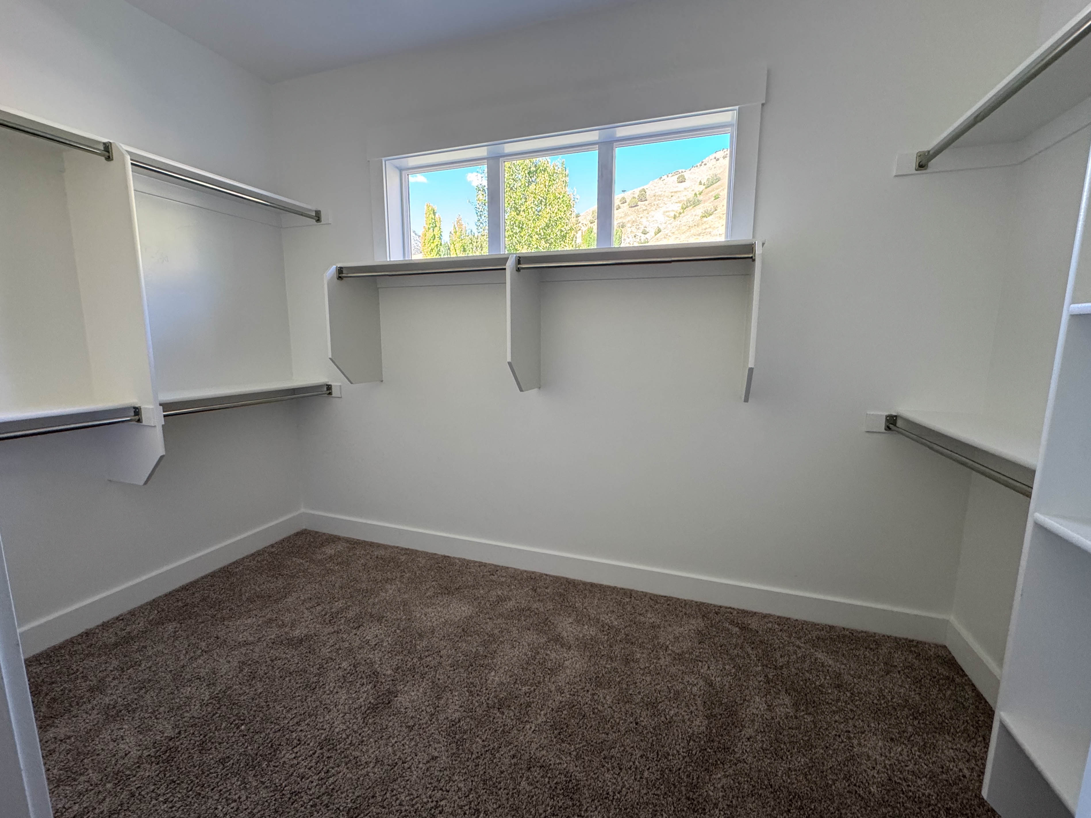 Walk-in closet featuring built-in shelving, hanging rods, an exterior window, white trim, and brown carpet