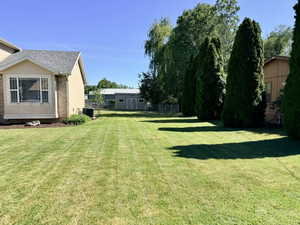 Expansive backyard featuring a manicured lawn, a detached storage shed, mature evergreen trees, a chain-link fence, and a beige exterior