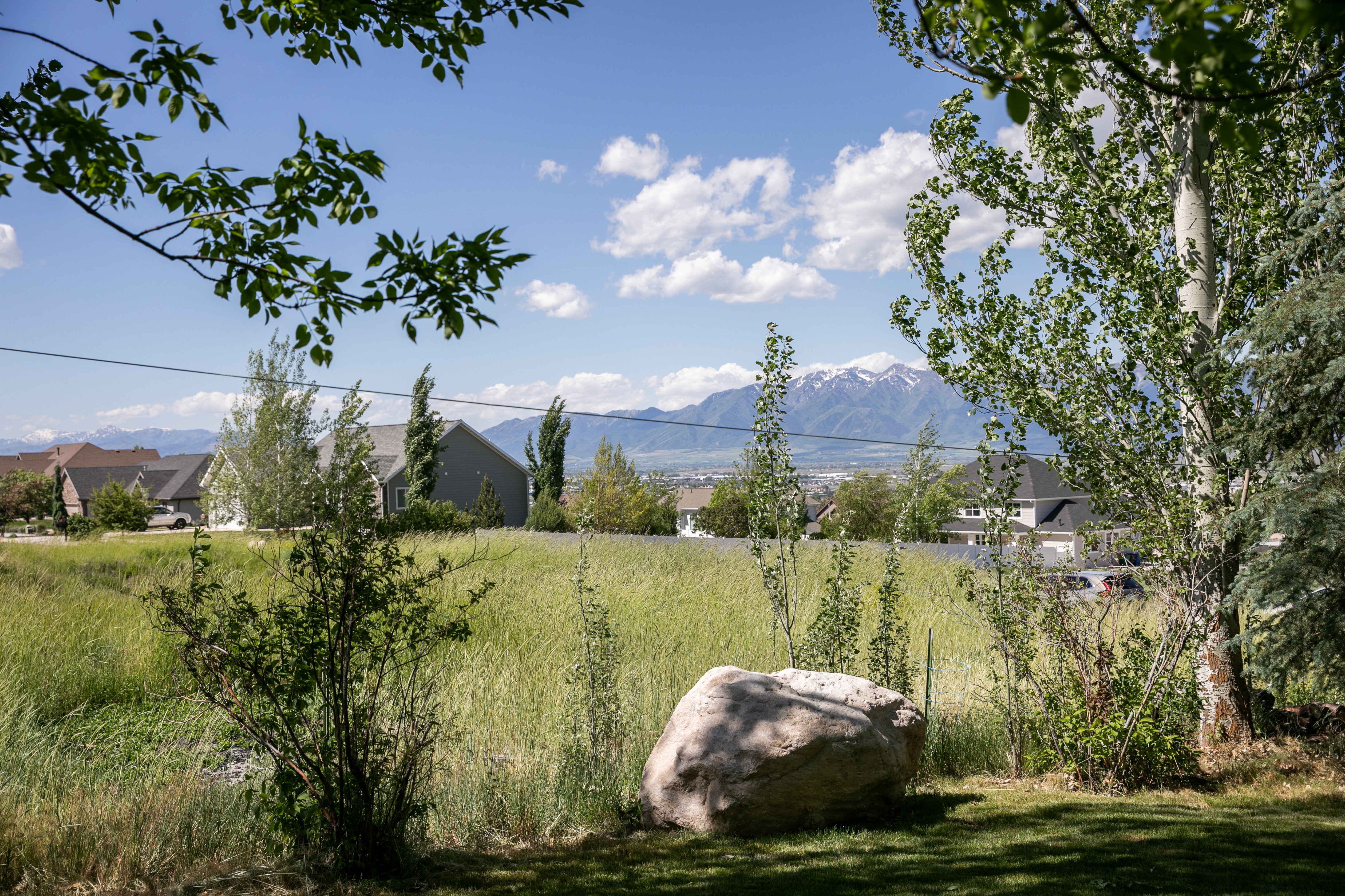 Expansive outdoor space featuring a large natural boulder, verdant foliage, and distant snow-capped mountains