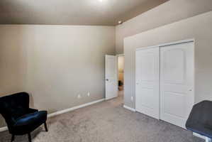 Neutral-toned room featuring light gray carpeting, white baseboards, and a vaulted ceiling