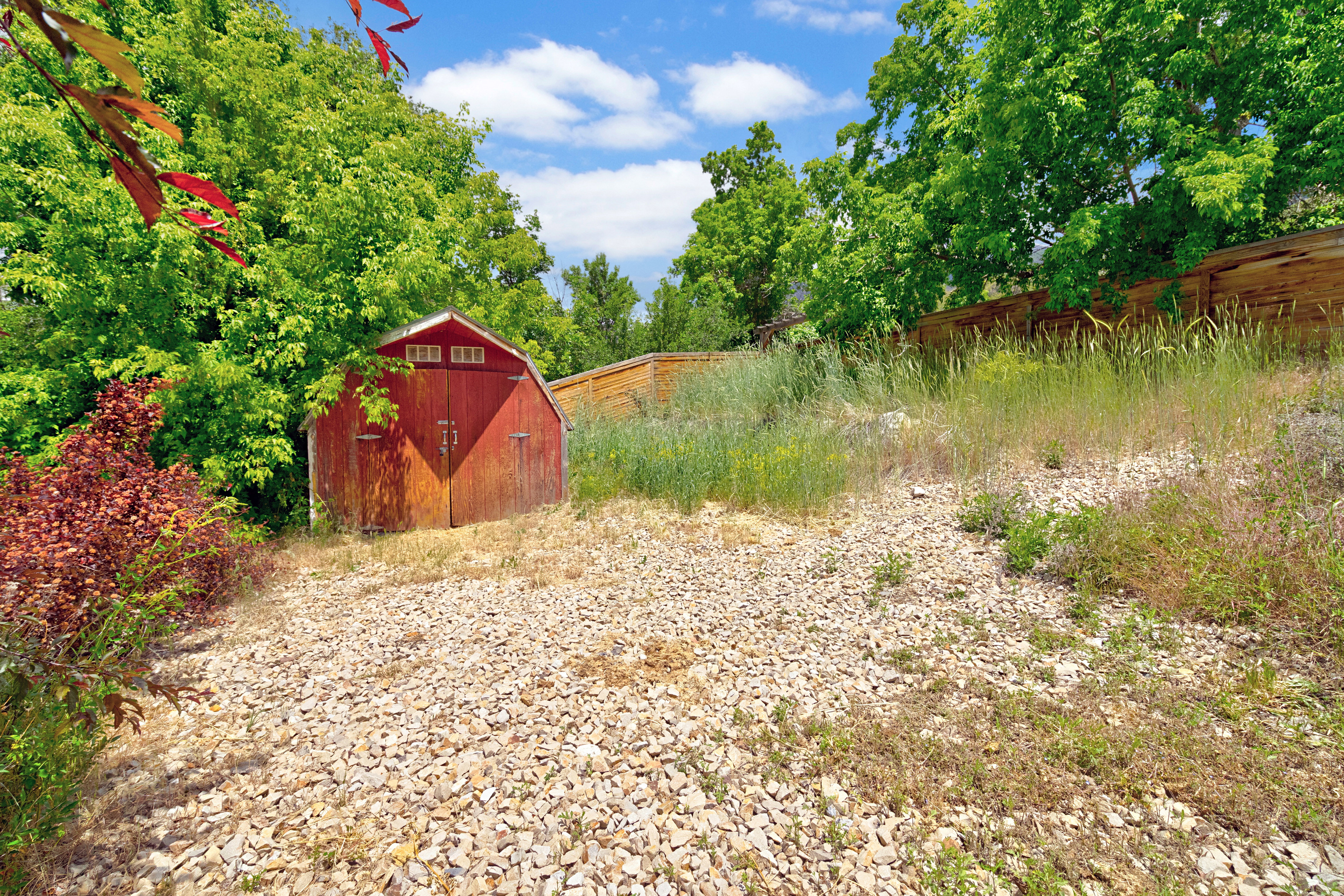 Gravel landscaping with a red storage shed, surrounded by mature trees and natural vegetation