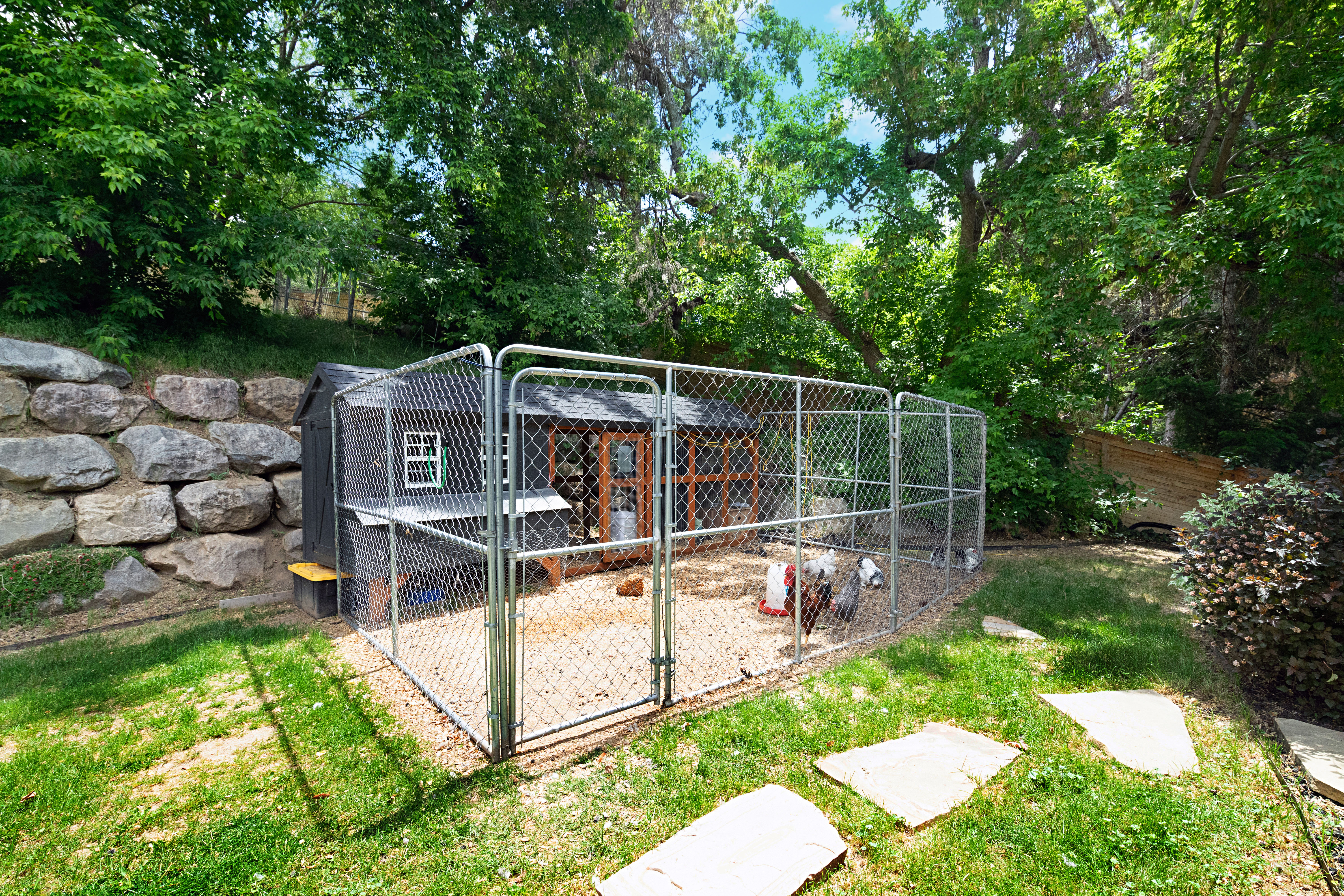 Outdoor chicken coop structure with an enclosed chain-link run, featuring a wood-shingle roof and a functional window