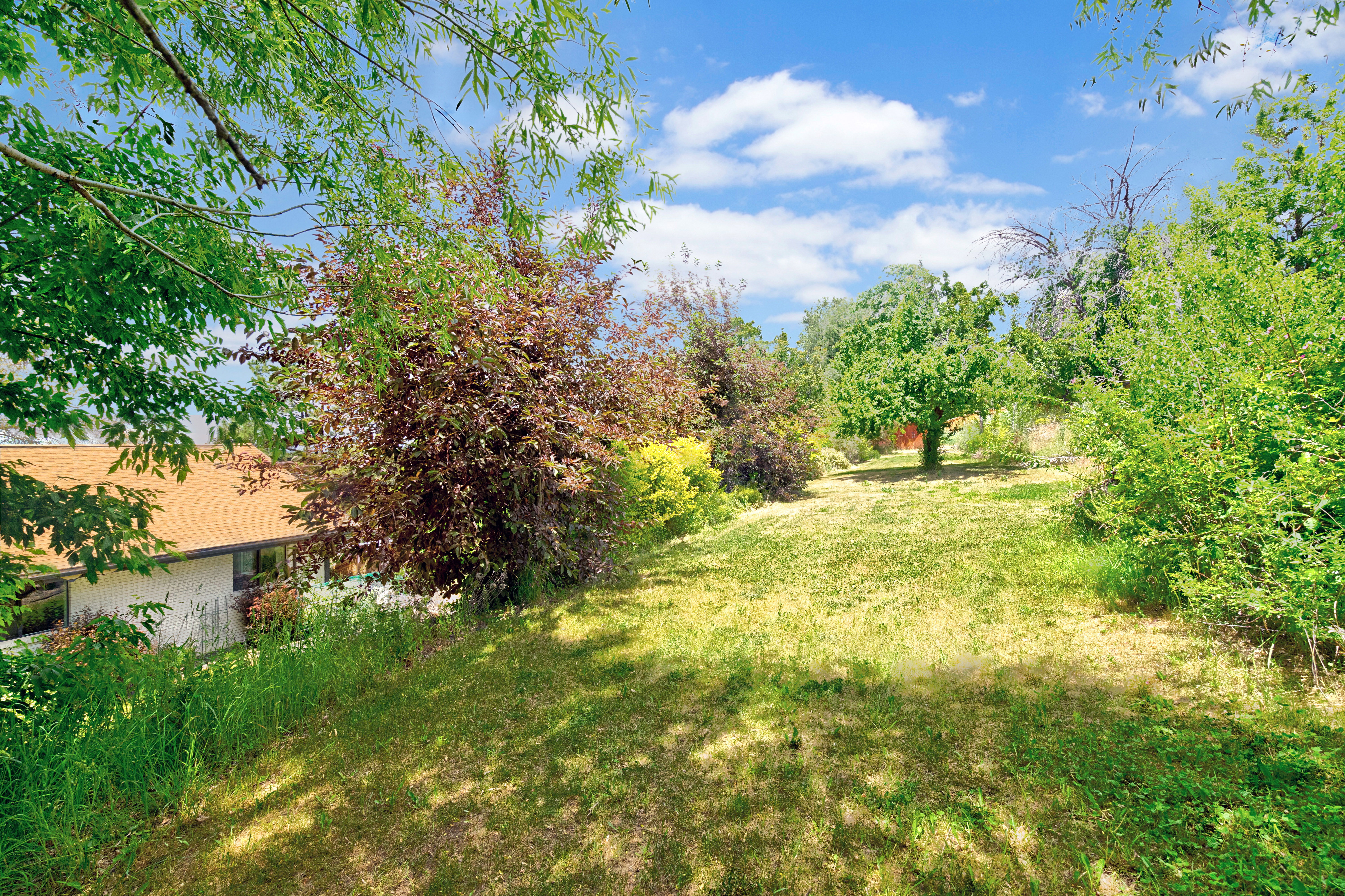 Expansive sloped lawn area with established green and reddish-leafed trees