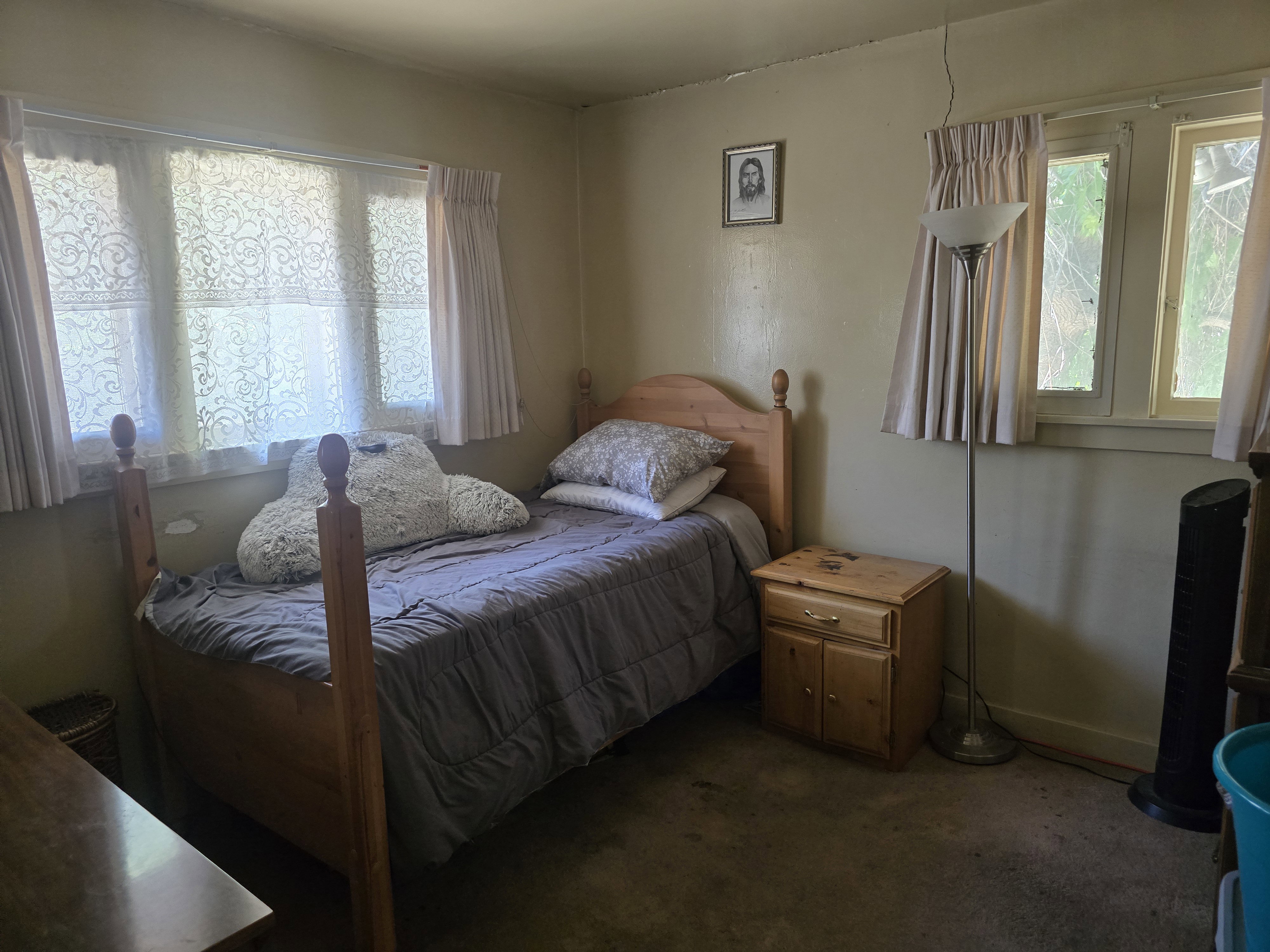 Bedroom with multiple windows, carpet flooring, and painted walls