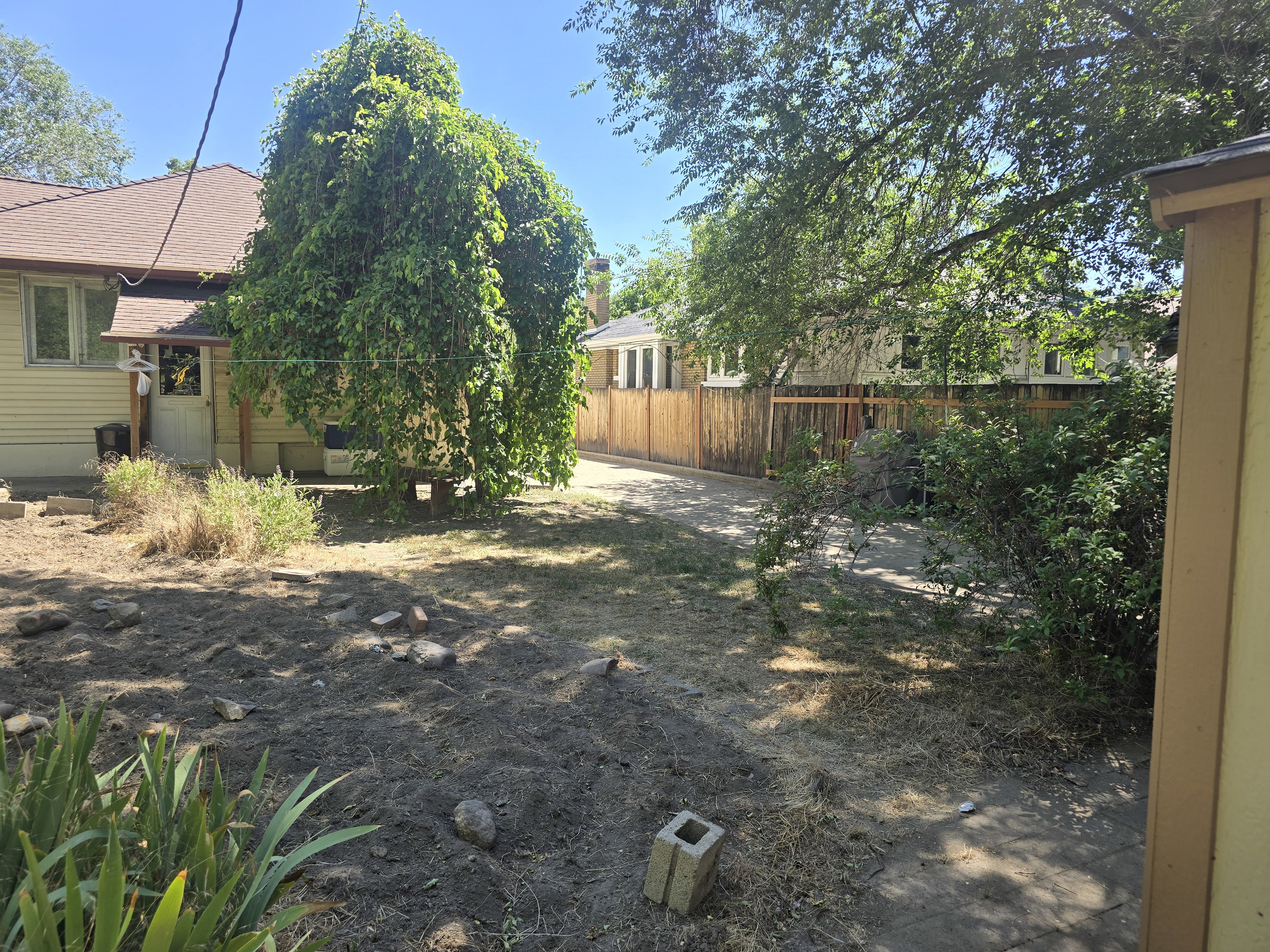 Expansive backyard space featuring mature trees, a paved driveway, and a wood privacy fence