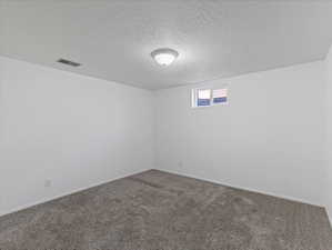 Neutral color palette featuring white walls and textured gray carpeting
