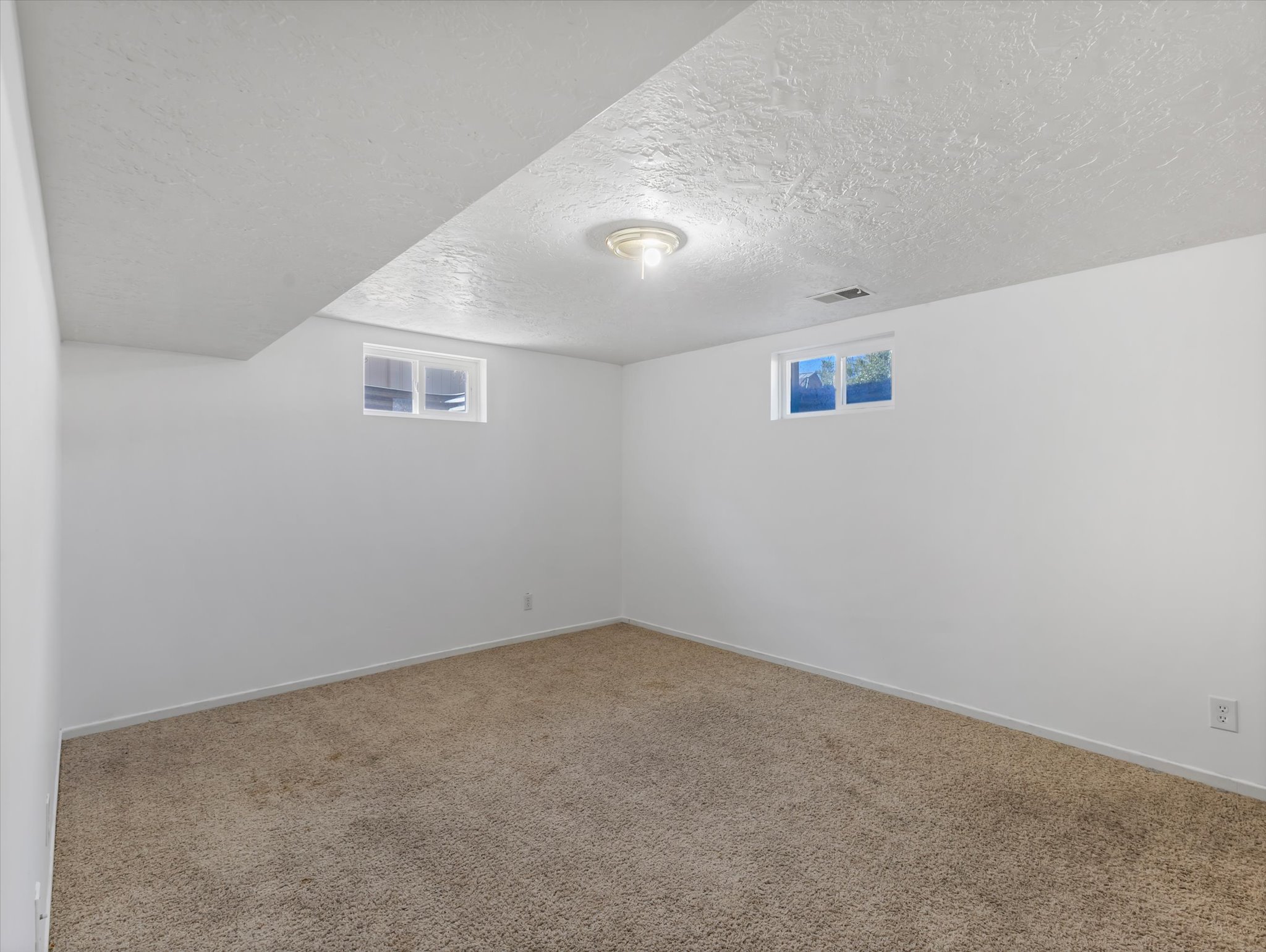 Spacious room featuring neutral carpet flooring, white painted walls, two rectangular windows, and an overhead flush-mount light fixture