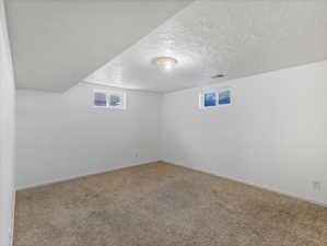 Spacious room featuring neutral carpet flooring, white painted walls, two rectangular windows, and an overhead flush-mount light fixture