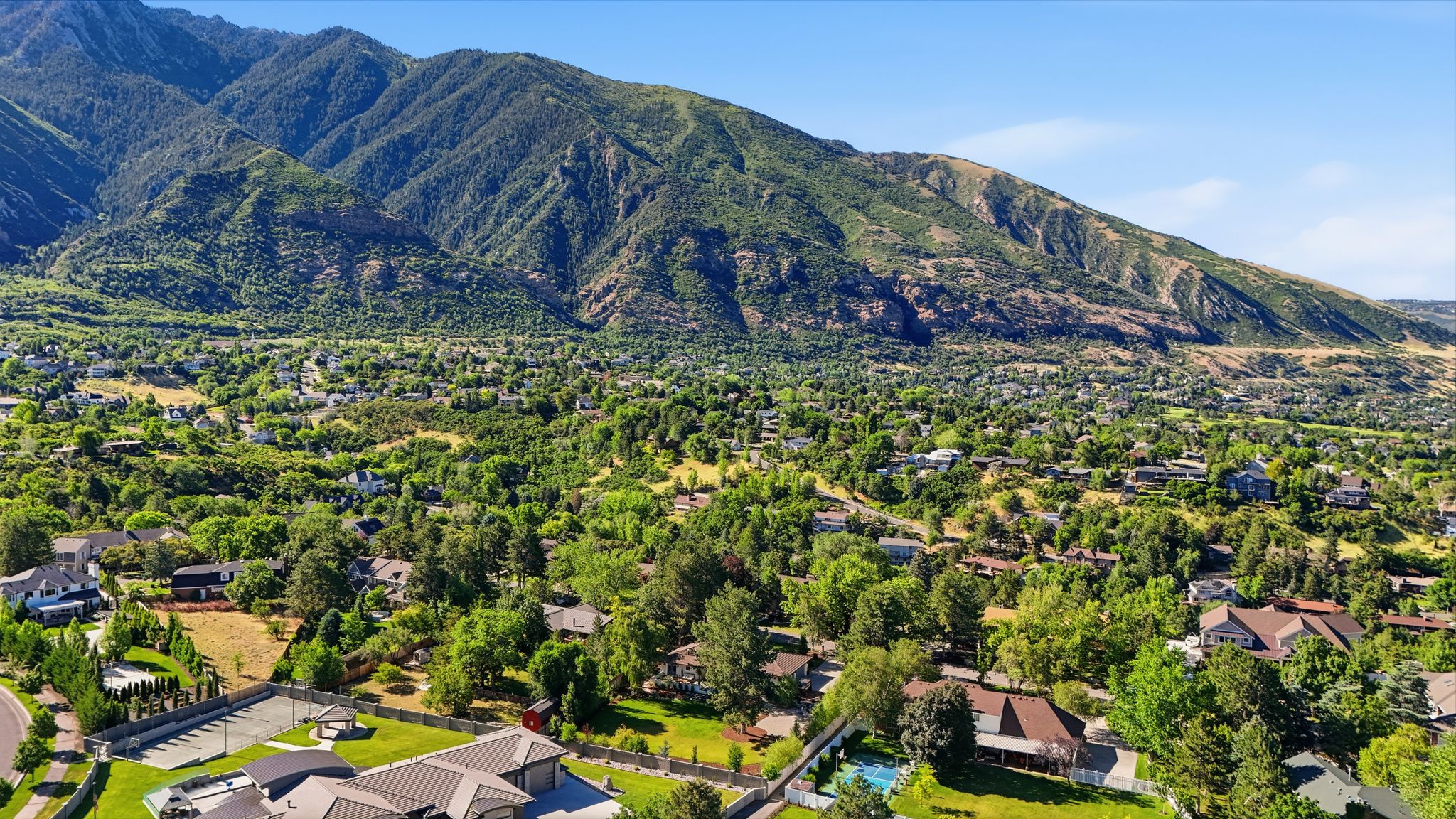 Expansive mountain backdrop with a residential area featuring numerous mature trees and substantial properties