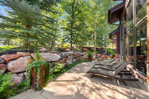 View of patio