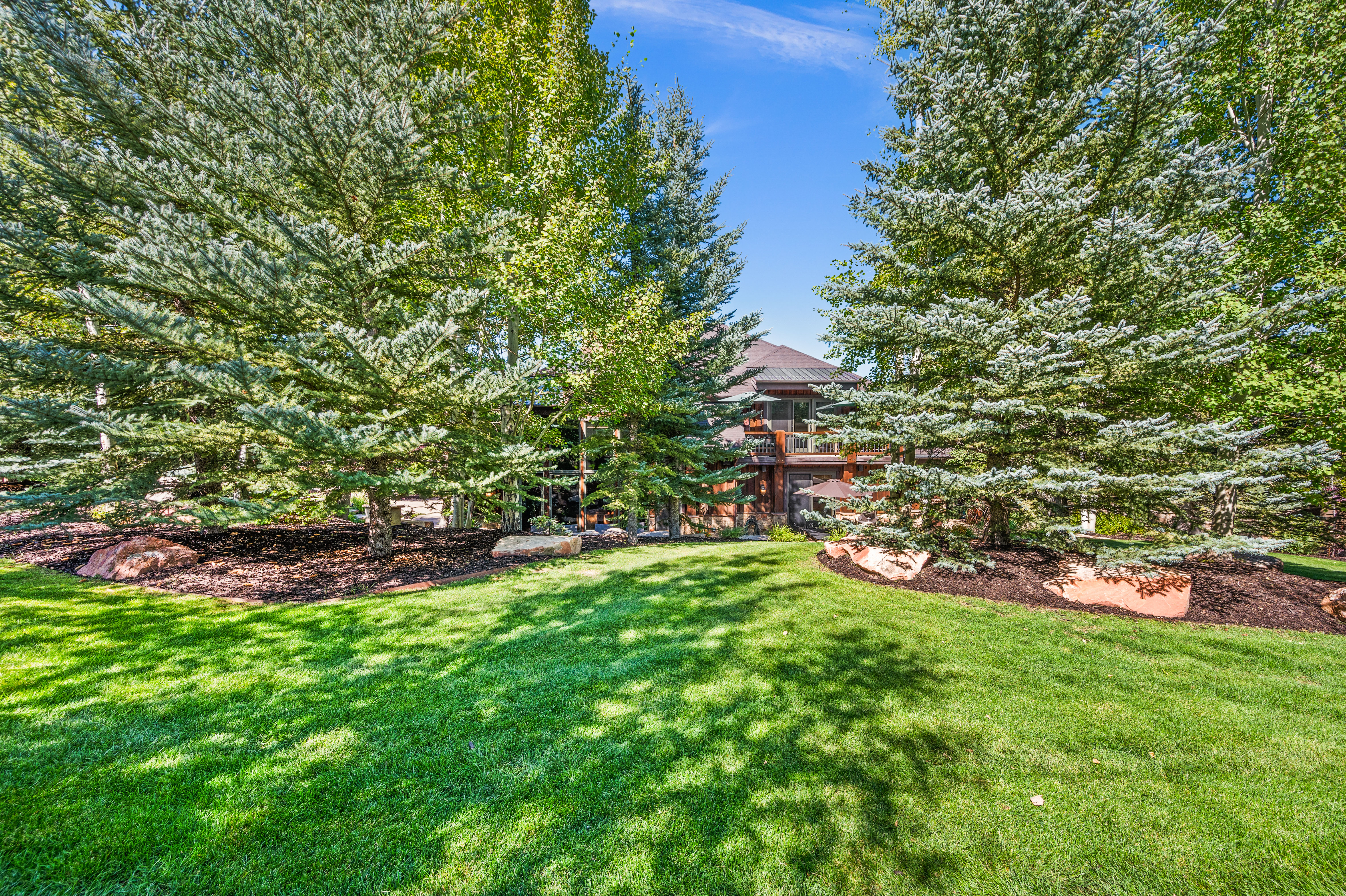 View of grassy yard