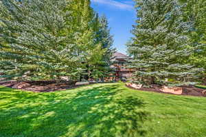 View of grassy yard