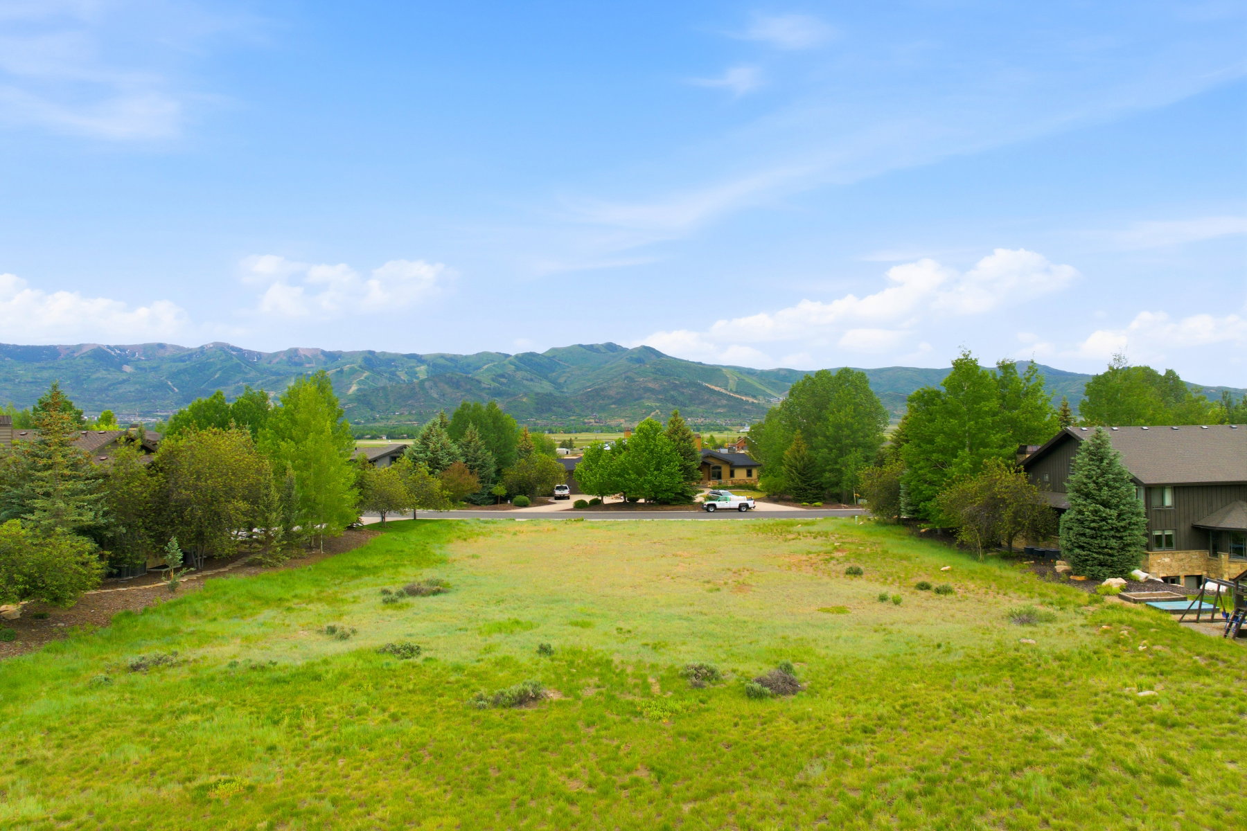 Expansive green space featuring natural vegetation and surrounding mature trees