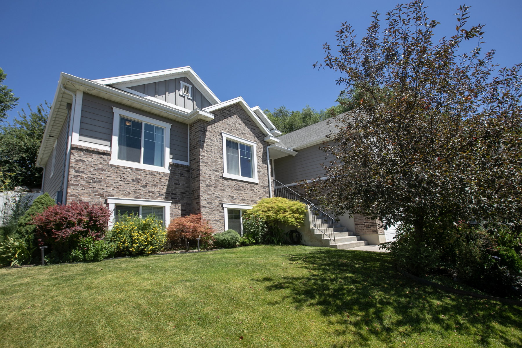 Front house