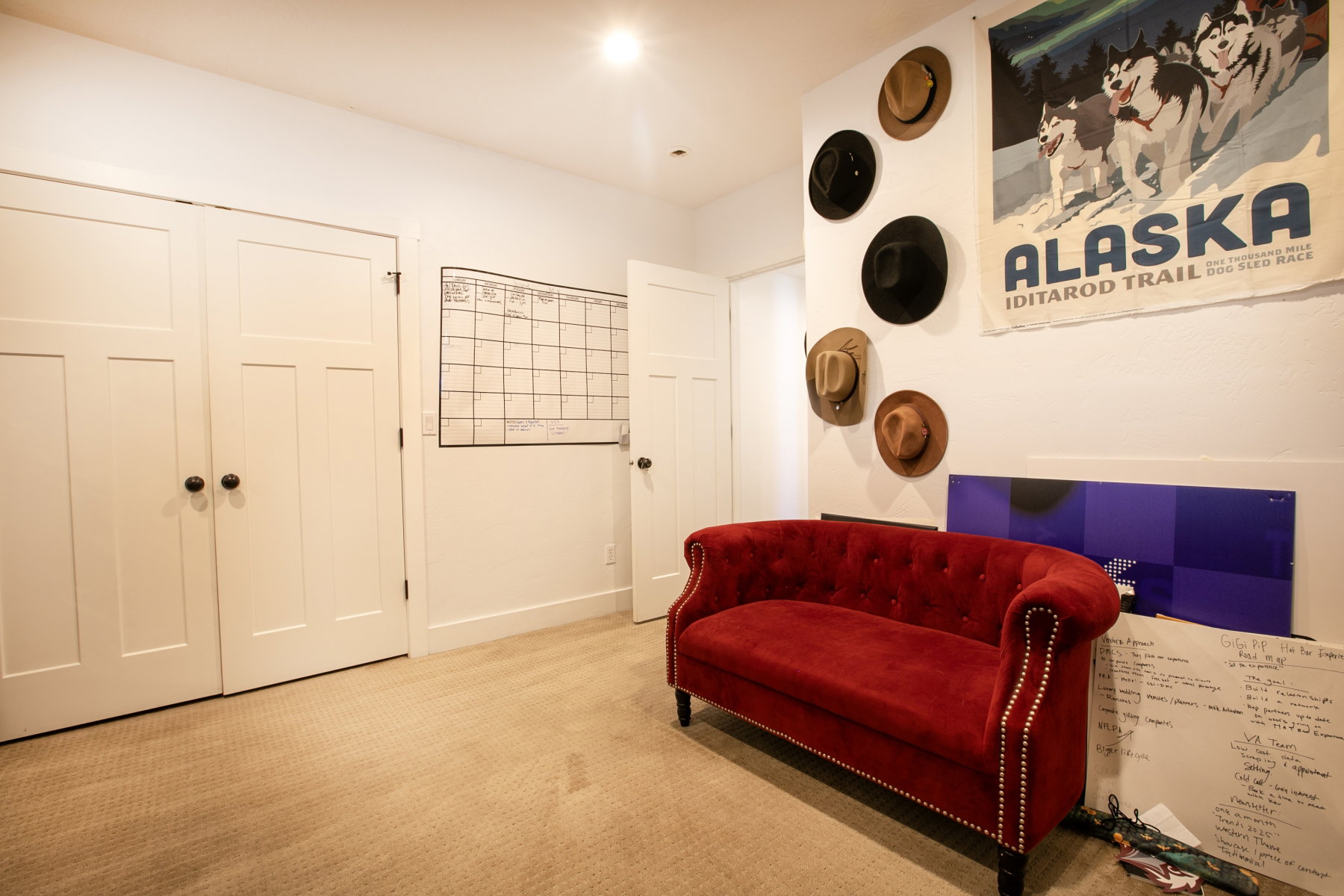 White interior doors featuring black hardware and neutral-toned carpeting