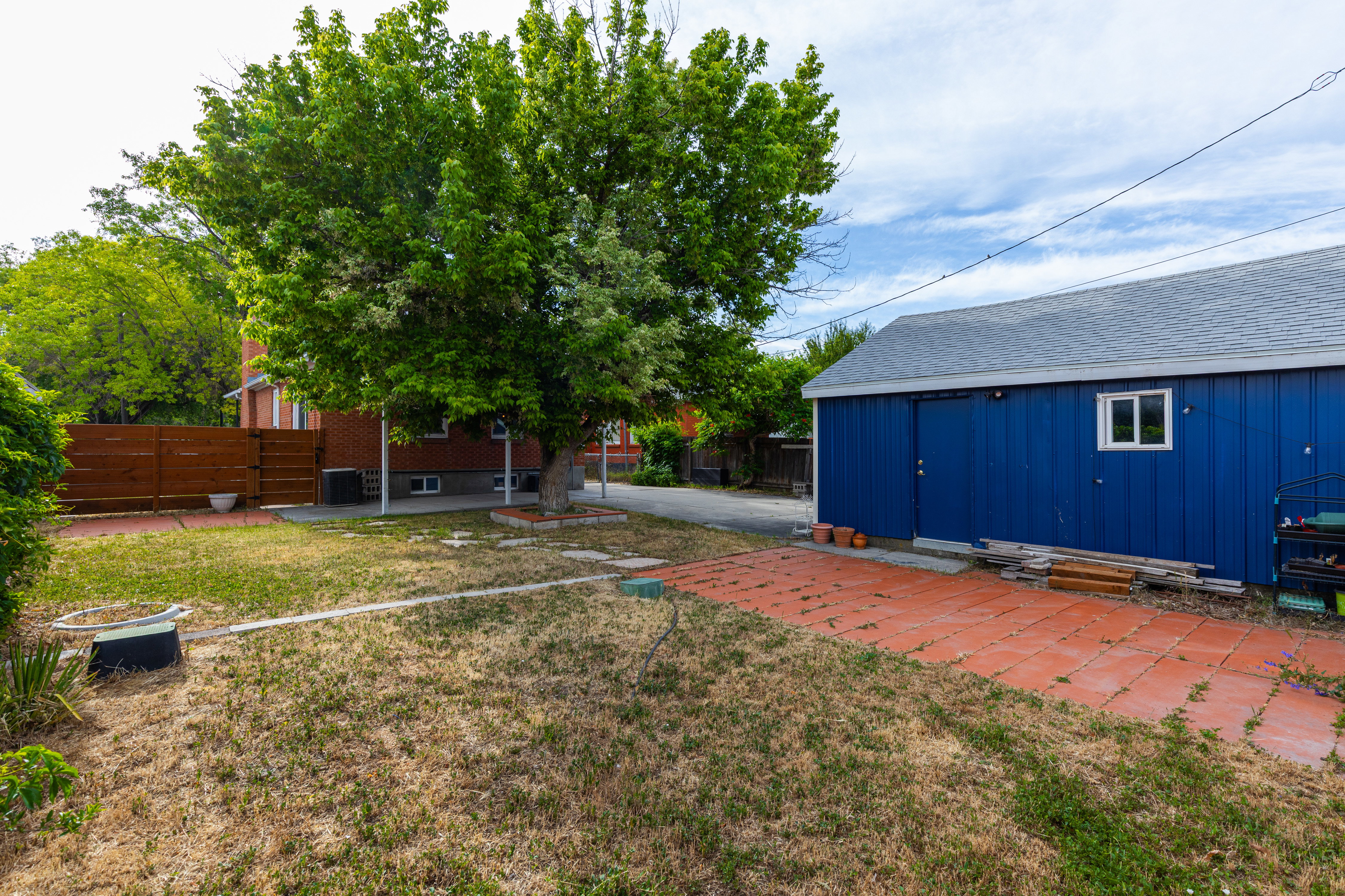 Spacious backyard area featuring a large mature tree, a privacy fence, and a detached structure with a single window and two access doors