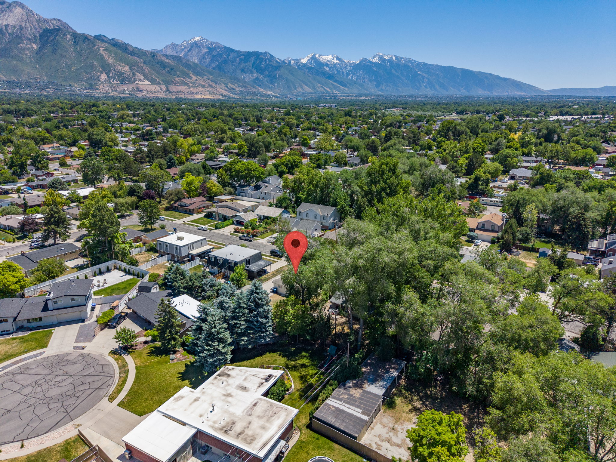 Expansive suburban landscape featuring a dense tree canopy, residential properties, and distant mountains under a clear sky