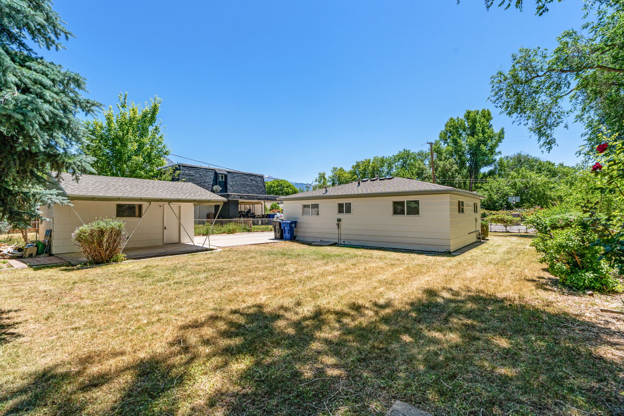 Expansive backyard featuring a detached accessory building, a concrete patio, and mature trees