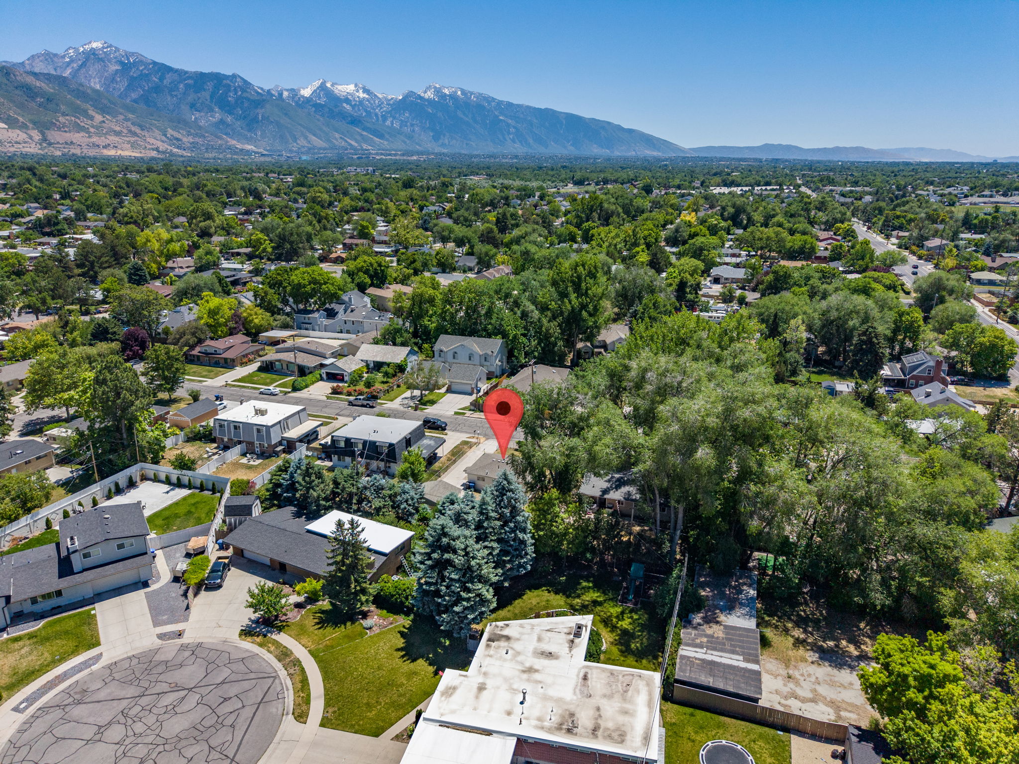 Expansive suburban landscape with mature tree canopy and distant mountain backdrop