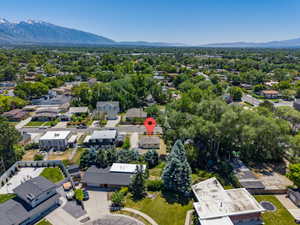 Aerial perspective of a residential street with mature trees and mountain backdrop