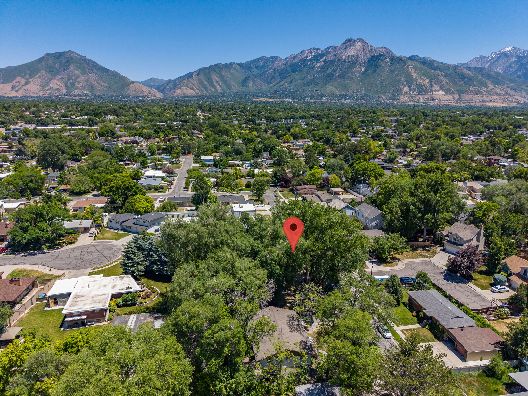 Expansive aerial perspective showcasing a mature treed neighborhood with mountainous backdrop