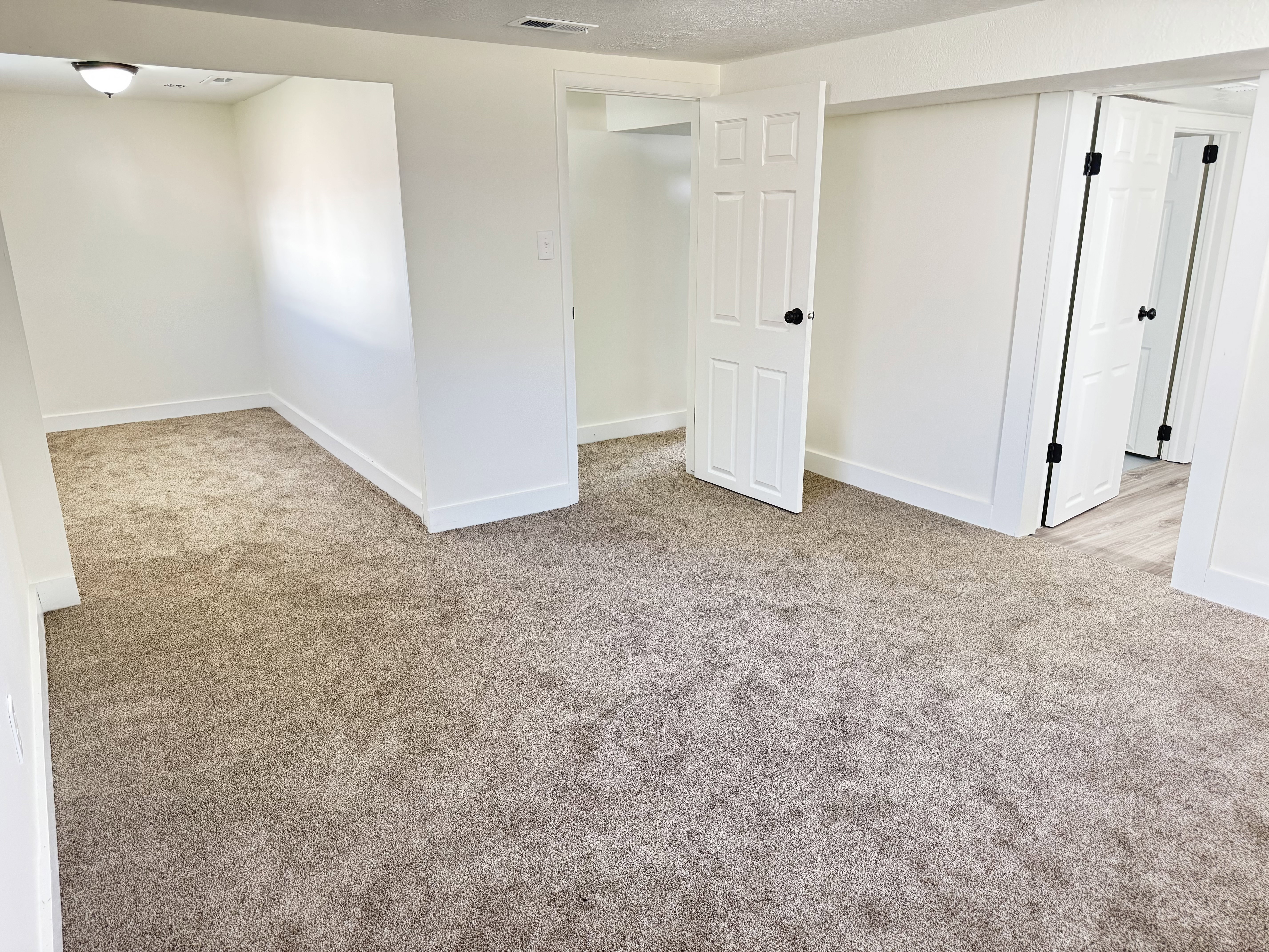 Spacious room featuring neutral carpeting, white interior walls, white trim, and multiple white doors with black hardware