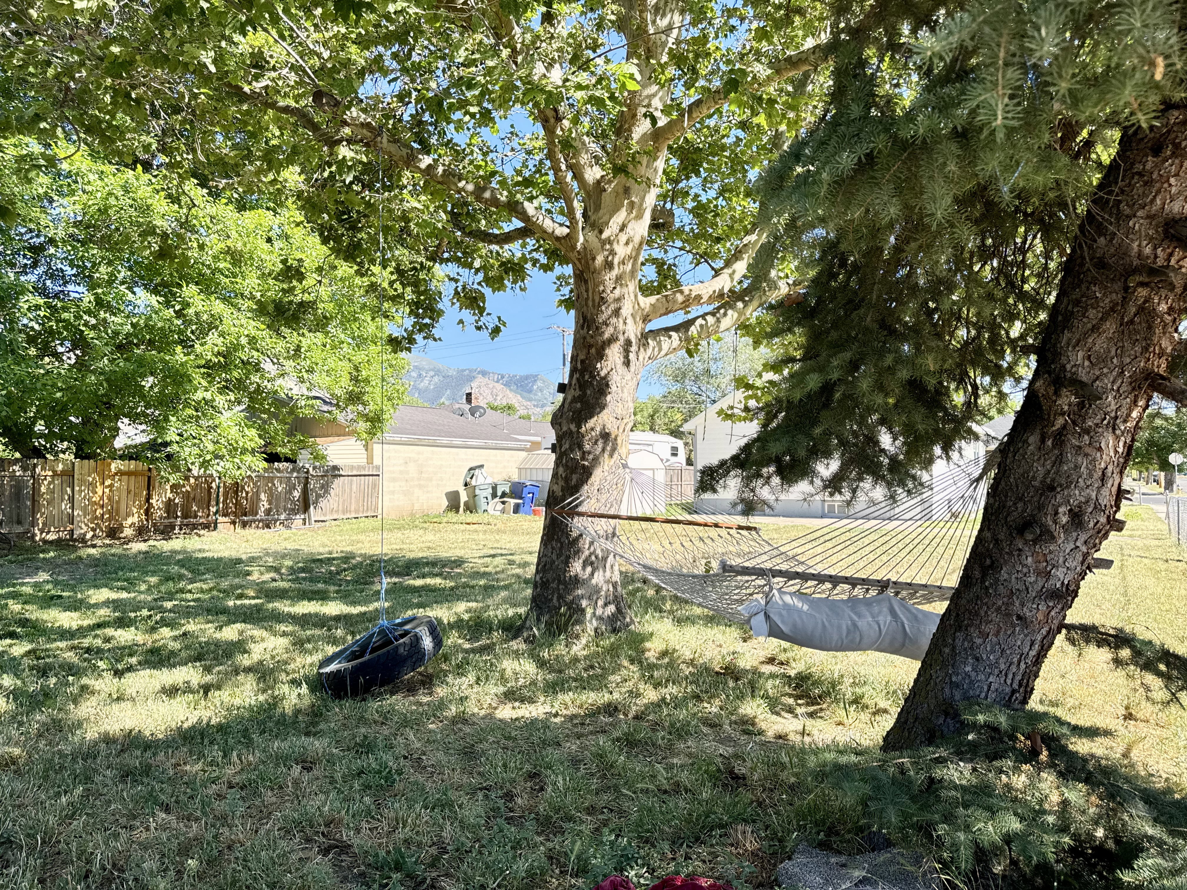 Expansive backyard featuring mature trees providing ample shade, a manicured lawn, and a wood privacy fence