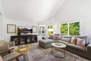 Vaulted ceiling living area featuring light-tone wood-finish flooring, a contemporary media console with glass-front cabinetry, multiple windows, and a sliding glass door